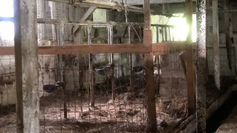 Passed Away & Forgotten - IMG_7736.jpg