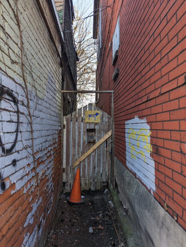 Speedy Signs photo 4