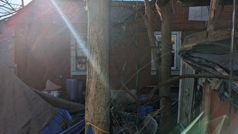 On the verge of collapse - PXL_20240209_150255645.jpg