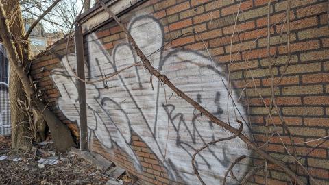 On the verge of collapse - PXL_20240209_150359018.jpg