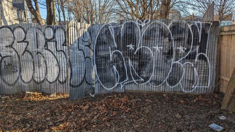 On the verge of collapse - PXL_20240209_150404110.jpg