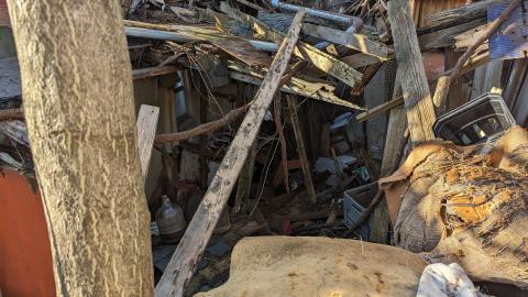 On the verge of collapse - PXL_20240209_150422091.jpg