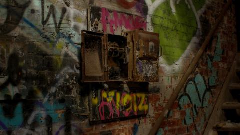 Post-Snowstorm Linseed (February 2024) - IMG_8718.jpeg