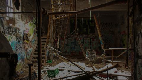 Post-Snowstorm Linseed (February 2024) - IMG_8714.jpeg