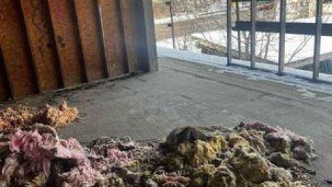 ABC L - 426069811_2346983885496204_4359168425298967239_n.jpg