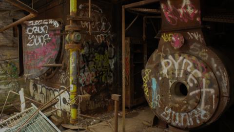 Post-Snowstorm Linseed (February 2024) - IMG_8716.jpeg