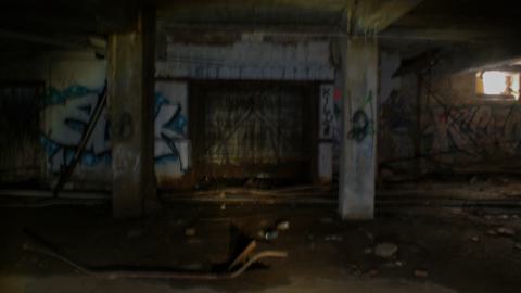 Post-Snowstorm Linseed (February 2024) - IMG_8709.jpeg