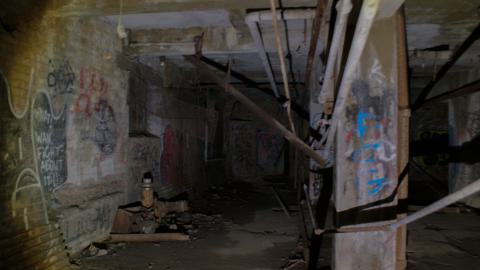 Post-Snowstorm Linseed (February 2024) - IMG_8712.jpeg