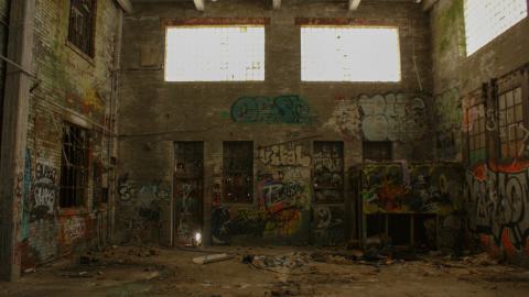 Post-Snowstorm Linseed (February 2024) - IMG_8750.jpeg