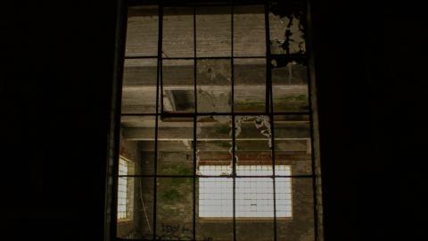 Post-Snowstorm Linseed (February 2024) - IMG_8747.jpeg