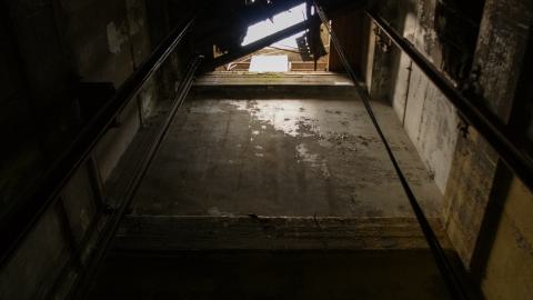 Post-Snowstorm Linseed (February 2024) - IMG_8717.jpeg