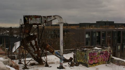 Post-Snowstorm Linseed (February 2024) - IMG_8766.jpeg