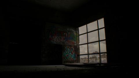 Post-Snowstorm Linseed (February 2024) - IMG_8741.jpeg