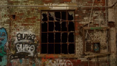 Post-Snowstorm Linseed (February 2024) - IMG_8751.jpeg