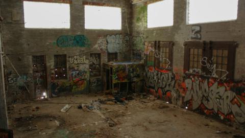 Post-Snowstorm Linseed (February 2024) - IMG_8749.jpeg