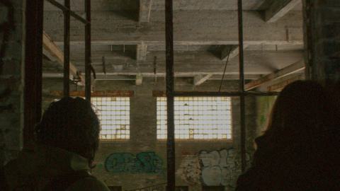 Post-Snowstorm Linseed (February 2024) - IMG_8735.jpeg