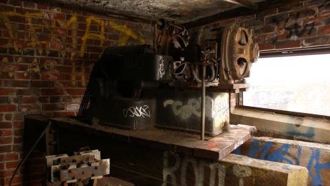 Post-Snowstorm Linseed (February 2024) - IMG_8762.jpeg