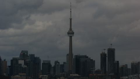 Post-Snowstorm Linseed (February 2024) - IMG_8733.jpeg