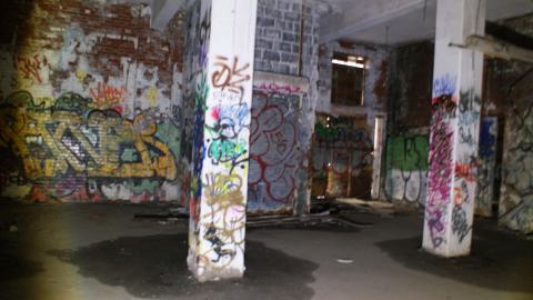 Post-Snowstorm Linseed (February 2024) - 2014-02-15 042.JPG