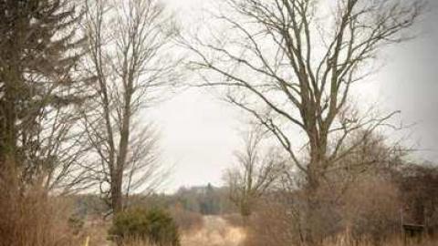 Photo from ANDREW LAPP HOUSE