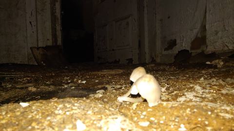 Farm House with a Silo - 20200723_145135.jpg