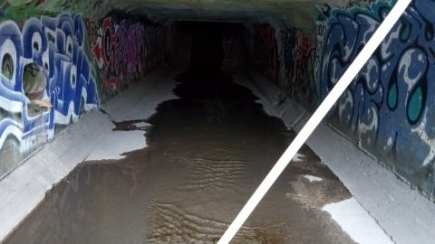 Dark - IMG_20240219_133311430.jpg