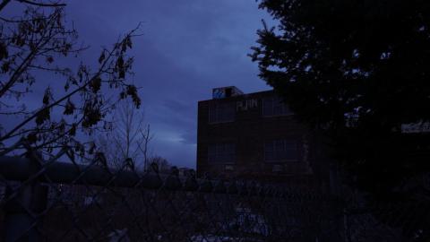 A peek outside the fence