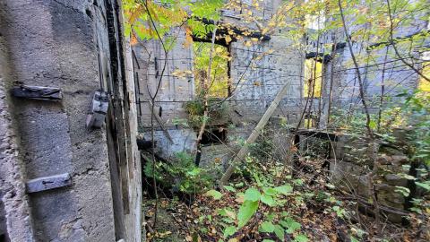 Photo from September 2023