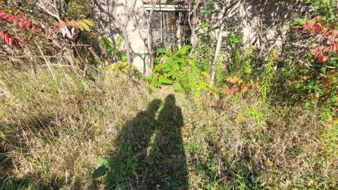 September 2023 - 384386117_775398114599679_5746464045428532517_n.jpg