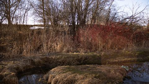 The outside area (1)