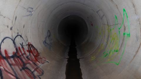 One-Way Ticket To Back Pain photo 5