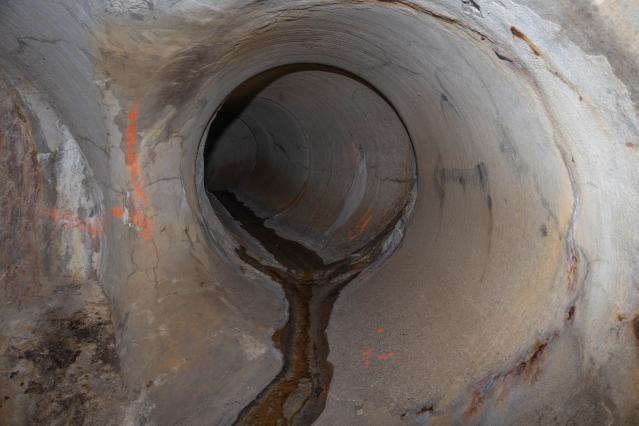 One-Way Ticket To Back Pain photo 3