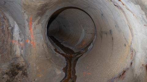 One-Way Ticket To Back Pain photo 3