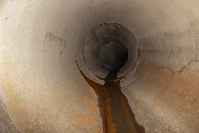 One-Way Ticket To Back Pain - Kitchener, Ontario