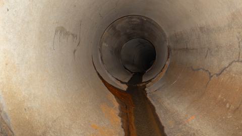 One-Way Ticket To Back Pain - Kitchener, Ontario