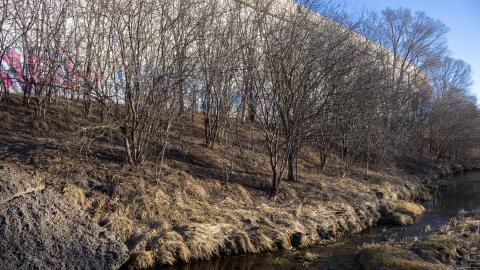 The outside area (4)