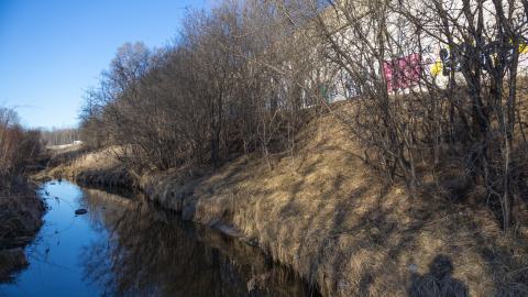 The outside area (5)