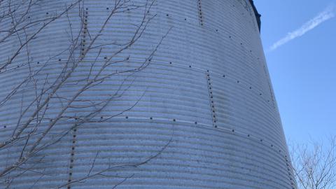 The grain cylinder