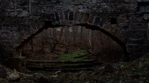 Photo from German in brant