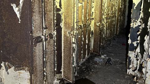 February 2024 - IMG_7956.jpeg