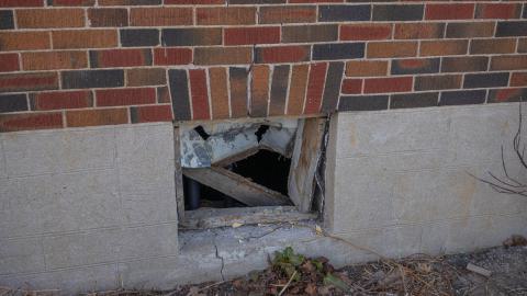 Lonely On Charles photo 2