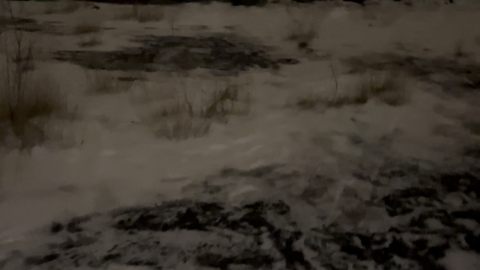 the roof facing north