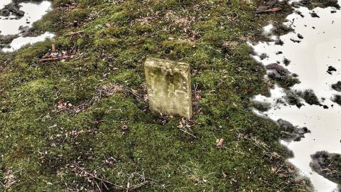 African Methodist Episcopal Cemetery photo 2