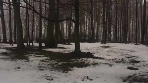 African Methodist Episcopal Cemetery - IMG_6708.jpeg