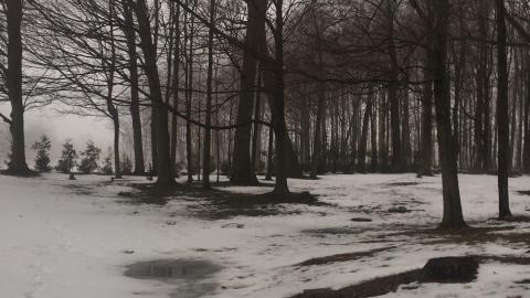 African Methodist Episcopal Cemetery - IMG_6710.jpeg