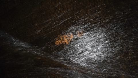 Drain You - DSC00028.JPG