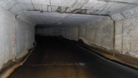 Drain You - DSC00029.JPG