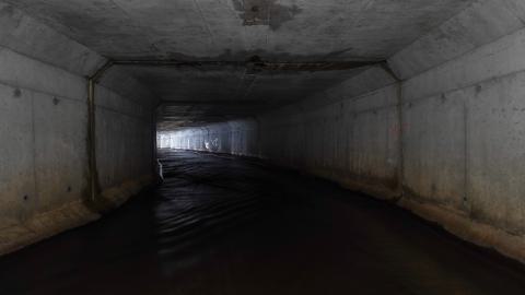 Drain You - DSC00031.JPG