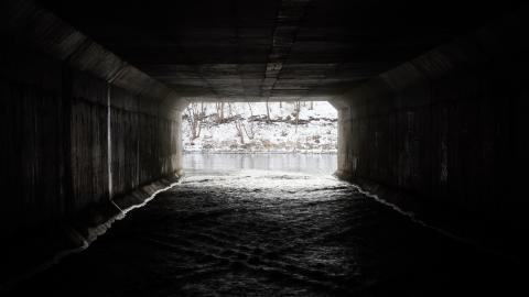 Drain You - DSC00033.JPG