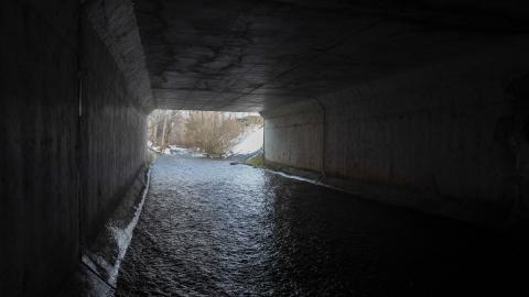 Photo from Drain You